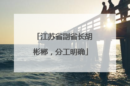 江苏省副省长胡彬郴，分工明确