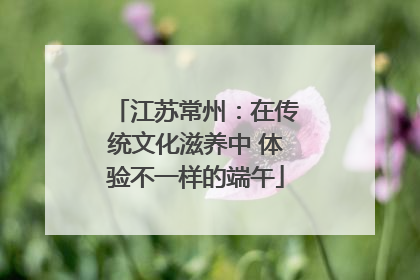 江苏常州：在传统文化滋养中 体验不一样的端午
