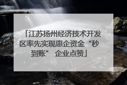 江苏扬州经济技术开发区率先实现惠企资金“秒到账” 企业点赞