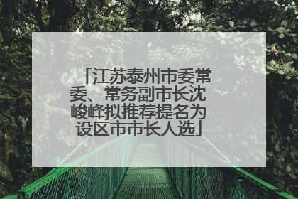 江苏泰州市委常委、常务副市长沈峻峰拟推荐提名为设区市市长人选