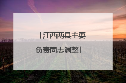 江西两县主要负责同志调整