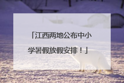 江西两地公布中小学暑假放假安排！
