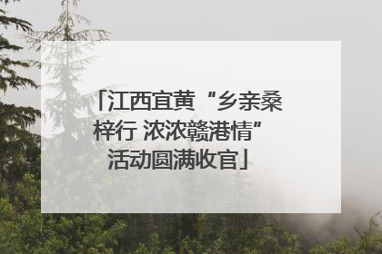 江西宜黄“乡亲桑梓行 浓浓赣港情”活动圆满收官
