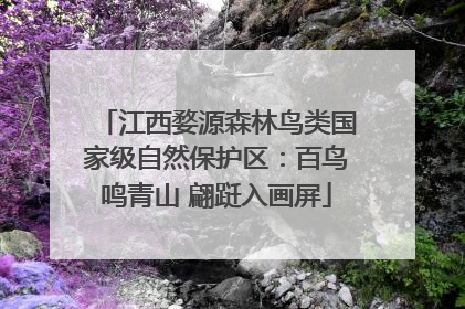 江西婺源森林鸟类国家级自然保护区：百鸟鸣青山 翩跹入画屏