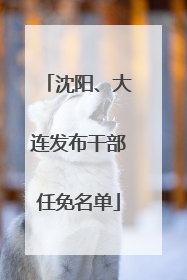 沈阳、大连发布干部任免名单