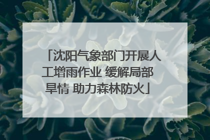沈阳气象部门开展人工增雨作业 缓解局部旱情 助力森林防火