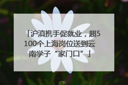 沪滇携手促就业，超5100个上海岗位送到云南学子“家门口”