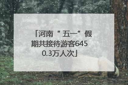 河南“ 五一”假期共接待游客6450.3万人次