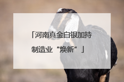 河南真金白银加持制造业“焕新”