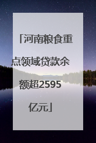 河南粮食重点领域贷款余额超2595亿元