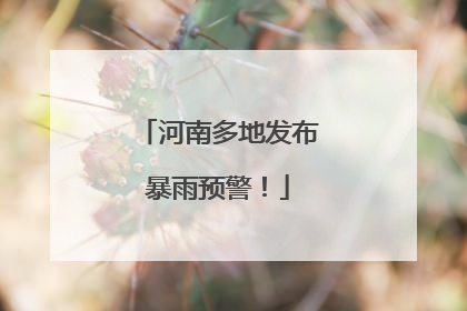 河南多地发布暴雨预警！