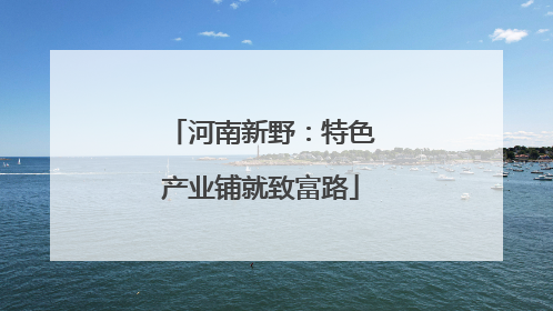 河南新野：特色产业铺就致富路