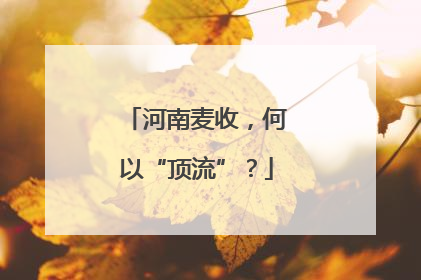 河南麦收，何以“顶流”？