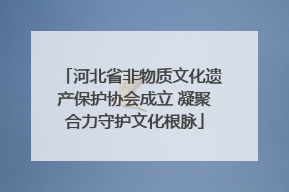 河北省非物质文化遗产保护协会成立 凝聚合力守护文化根脉