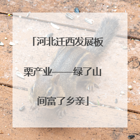 河北迁西发展板栗产业——绿了山间富了乡亲