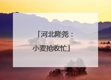 河北隆尧：小麦抢收忙