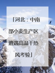 河北：中南部小麦生产区遭遇高温干热风考验