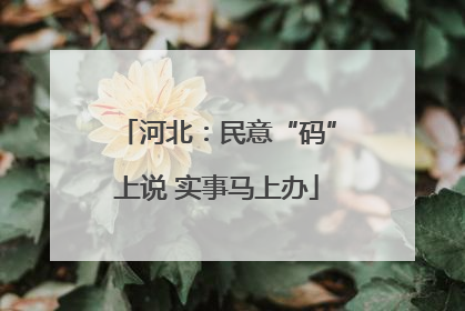 河北：民意“码”上说 实事马上办