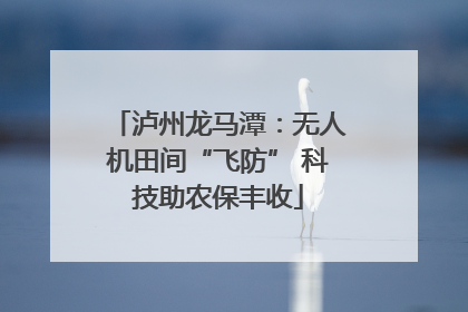 泸州龙马潭：无人机田间“飞防” 科技助农保丰收