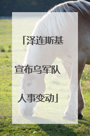 泽连斯基宣布乌军队人事变动