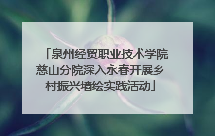 泉州经贸职业技术学院慈山分院深入永春开展乡村振兴墙绘实践活动