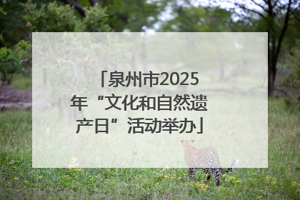 泉州市2025年“文化和自然遗产日”活动举办