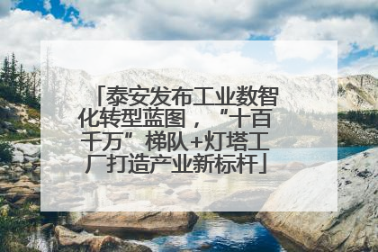 泰安发布工业数智化转型蓝图，“十百千万”梯队+灯塔工厂打造产业新标杆
