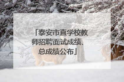 泰安市直学校教师招聘面试成绩、总成绩公布