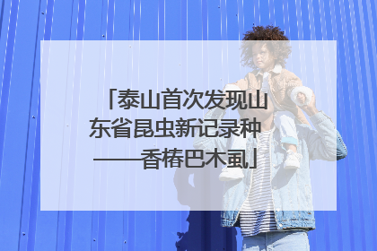 泰山首次发现山东省昆虫新记录种——香椿巴木虱