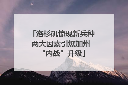 洛杉矶惊现新兵种 两大因素引爆加州“内战”升级
