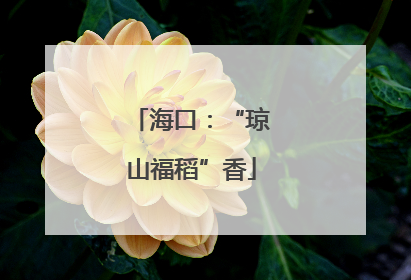 海口：“琼山福稻”香