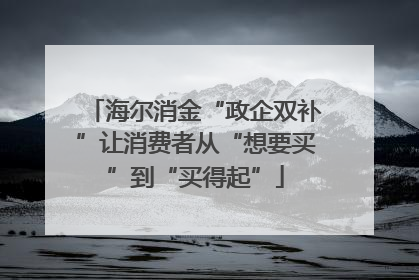 海尔消金“政企双补”让消费者从“想要买”到“买得起”
