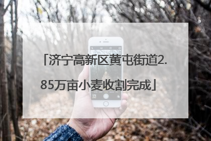济宁高新区黄屯街道2.85万亩小麦收割完成