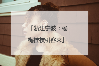浙江宁波：杨梅挂枝引客来