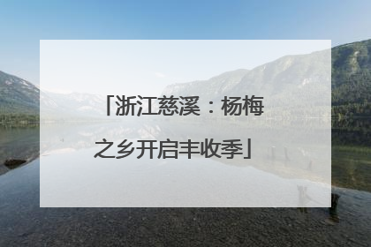 浙江慈溪：杨梅之乡开启丰收季