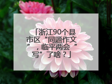 浙江90个县市区“同题作文”，临平两会“写”了啥？