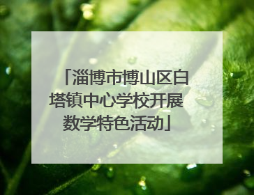 淄博市博山区白塔镇中心学校开展数学特色活动