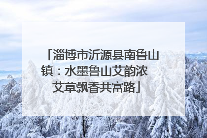 淄博市沂源县南鲁山镇：水墨鲁山艾韵浓 艾草飘香共富路