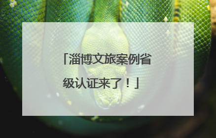 淄博文旅案例省级认证来了！