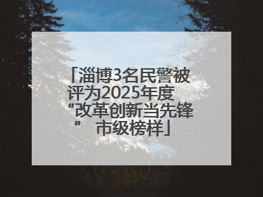 淄博3名民警被评为2025年度“改革创新当先锋” 市级榜样