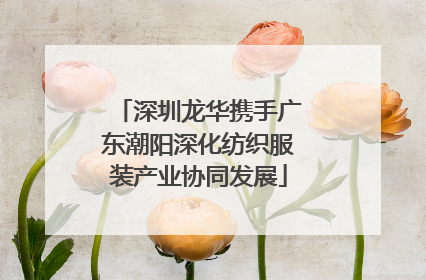 深圳龙华携手广东潮阳深化纺织服装产业协同发展