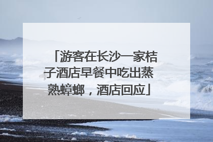 游客在长沙一家桔子酒店早餐中吃出蒸熟蟑螂，酒店回应