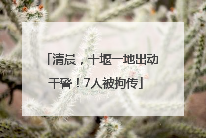 清晨，十堰一地出动干警！7人被拘传