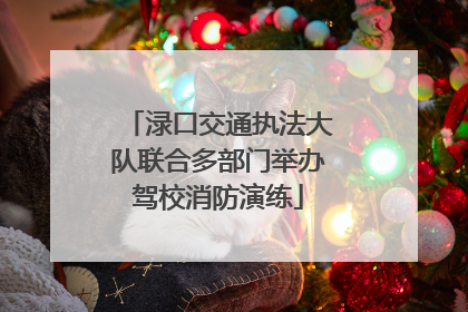 渌口交通执法大队联合多部门举办驾校消防演练