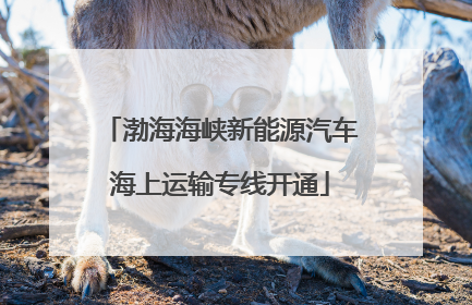 渤海海峡新能源汽车海上运输专线开通