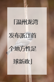 温州龙湾发布浙江首个地方性足球新政
