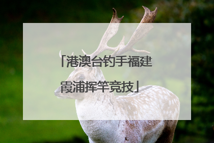 港澳台钓手福建霞浦挥竿竞技