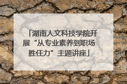 湖南人文科技学院开展“从专业素养到职场胜任力”主题讲座