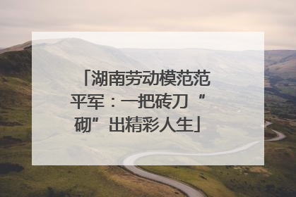 湖南劳动模范范平军：一把砖刀“砌”出精彩人生
