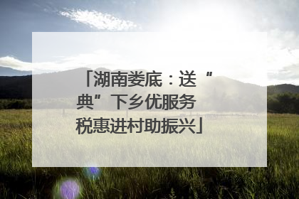 湖南娄底：送“典”下乡优服务 税惠进村助振兴